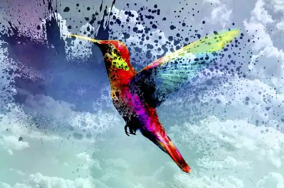 poster landscape - 8