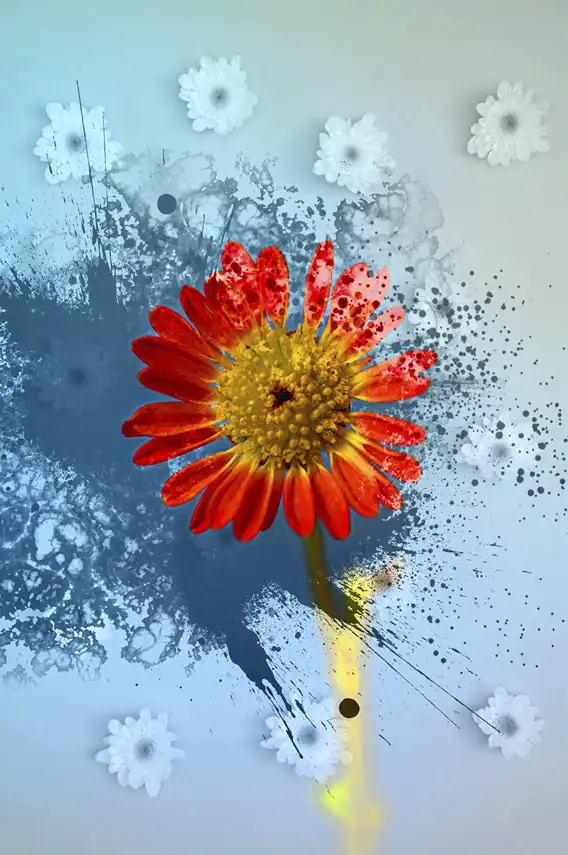 poster portrait - 17